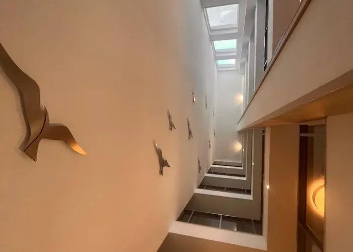 Karzo Lk 204 布达佩斯