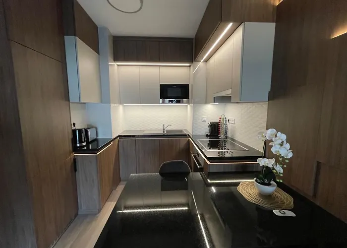 Karzo Lk 204 布达佩斯